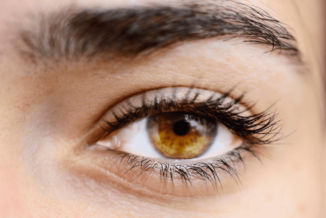 Los Diferentes Tipos de Ojos y Cómo Sacarles El Máximo Partido
