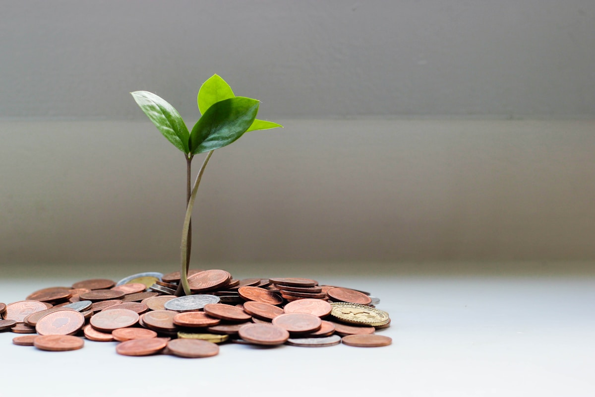 Calculadora de Inversión: Cómo Descubrir tu Potencial Financiero